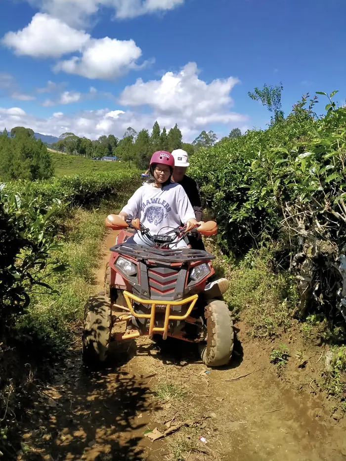 Dua orang berkendara ATV menyusuri jalur tanah di antara kebun teh