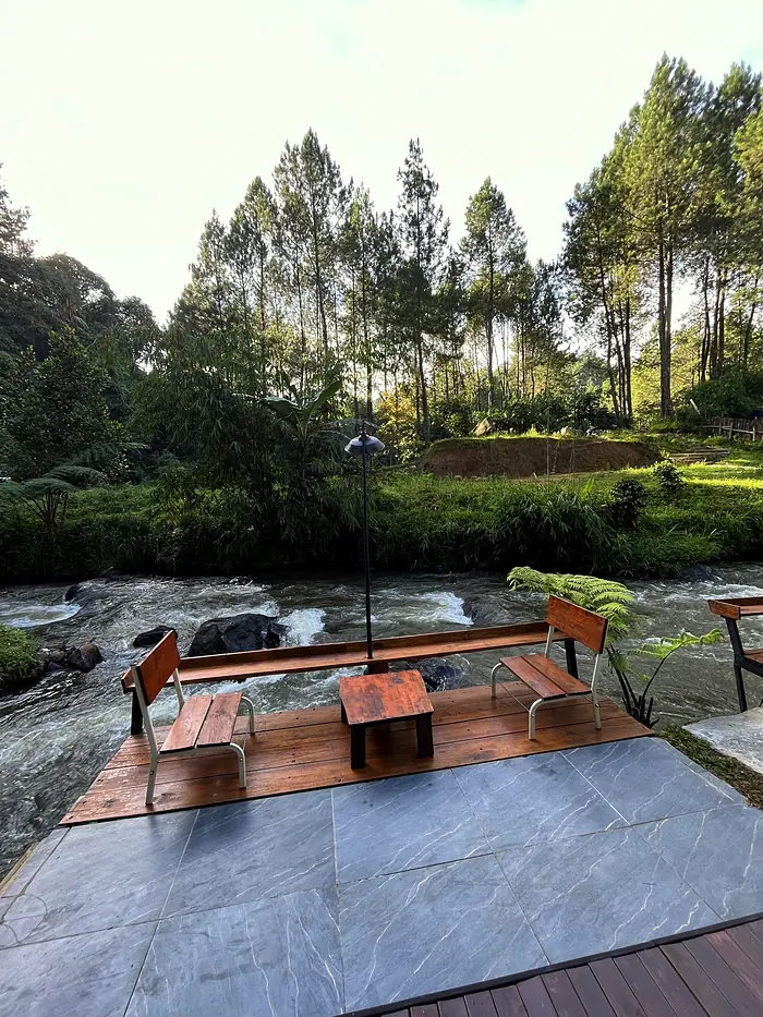Deck kayu dengan kursi menghadap sungai berarus, dikelilingi hutan pinus